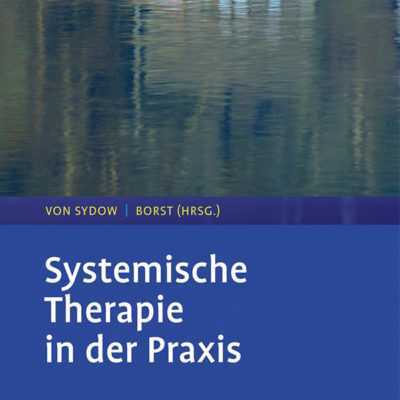 blogbeitrag-therapie-in-der-praxis systemische-therapie-in-der-praxis-von-sydow-borst